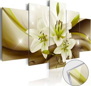 Obraz lilie na akrylátovém skle - Modern Lily