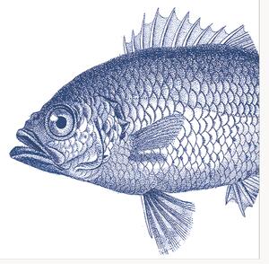 Sada papírových ubrousků Fish, 40 dílů