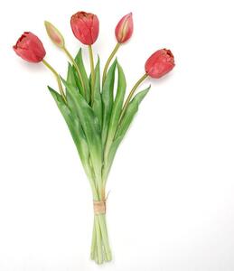 Svazek tulipány plnokvěté 39 cm, 5 ks