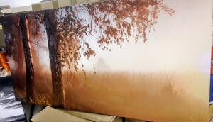 Obraz mlhavý podzimní les