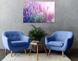 Obraz kouzelné květy levandule - 60x40