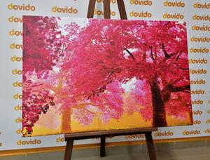 Obraz kouzelné rozkvetlé stromy třešně