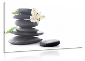 Obraz Zen kameny s lilií