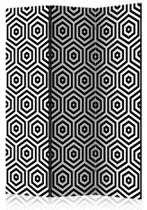 Paraván - Černobílá hypnóza 135x172
