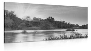 Obraz východ slunce u řeky v černobílém provedení