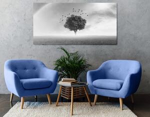 Obraz osaměý strom na louce v černobílém provedení
