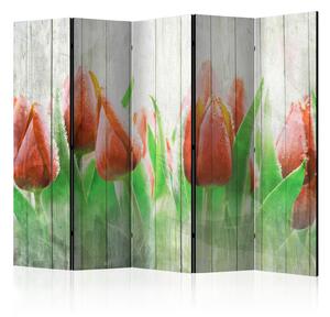 Paraván - Červené tulipány na dřevě II 225x172