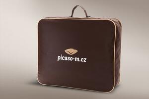 Picaso-M Zdravotní vyvařovací polštář Mirabell Visco Rozměr: 50x70 cm (500 g)