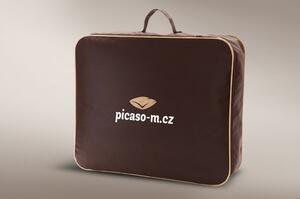 Picaso-M Polštář Traumwell Rozměr: 40x60 cm zip+vak (500 g)