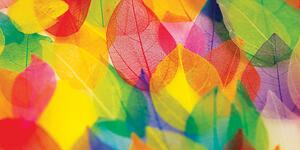 Obraz listy v podzimních barvách