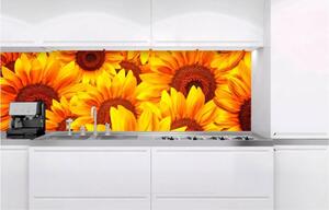 Samolepící tapety za kuchyňskou linku, rozměr 180 cm x 60 cm, slunečnice, DIMEX KI-180-051