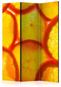 Paraván - Plátky pomeranče 135x172