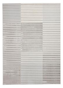 Světle šedo-krémový koberec 80x150 cm Apollo – Think Rugs