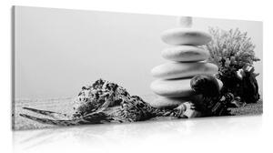 Obraz Zen kameny s mušlemi v čiernobílém provedení