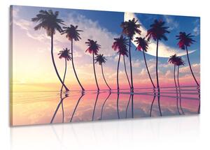 Obraz západ slunce nad tropickými palmami