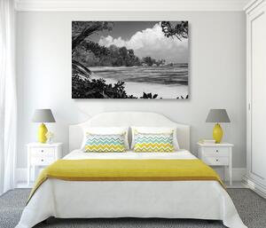 Obraz nádherná pláž na ostrově La Digue v černobílém provedení