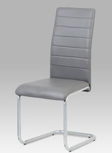 Autronic - Jídelní židle, koženka šedá / šedý lak - DCL-102 GREY