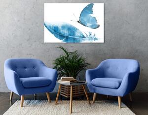 Obraz pírko s motýlem v modrém provedení