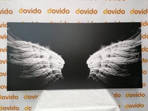 Obraz černobílé andělská křídla - 100x50