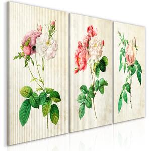 Obraz - Květinové trio (kolekce) 60x30