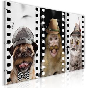 Obraz - Zábavná domácí zvířata (kolekce) 60x30