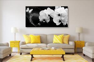 Obraz černobílá orchidej a motýl