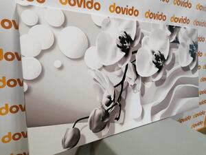Obraz černobílá orchidej na abstraktním pozadí