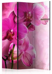 Paraván - Růžová orchidej 135x172