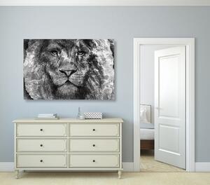 Obraz tvář lva v černobílém provedení Varianta: 120x80
