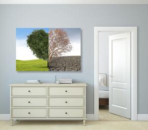 Obraz strom ve dvou podobách