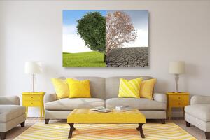 Obraz strom ve dvou podobách