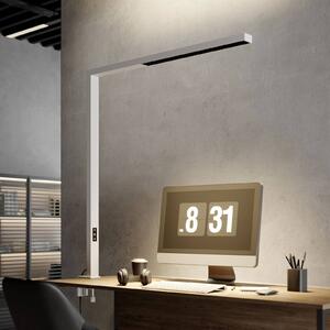 Arcchio Jolinda office LED světlo se svorkou, bílé