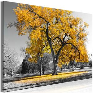 Obraz - Podzim v parku - zlatý II 90x60