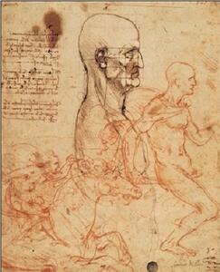 Obrazová reprodukce Profil muže a studie dvou jezdců, Leonardo Da Vinci, (35 x 50 cm)