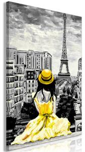 Obraz - Barva Paříže - žlutá 40x60