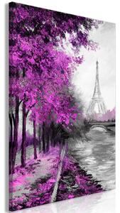 Obraz - Pařížský kanál - růžový 40x60