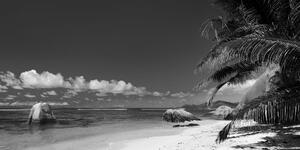 Obraz pláž Anse Source v černobílém provedení