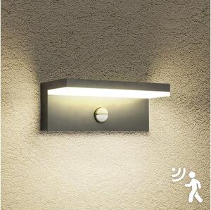 Brilagi-LED Venkovní nástěnné svítidlo se senzorem TESSI LED/10W/230V antr. IP54
