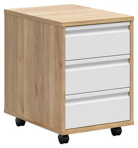 POJÍZDNÝ KONTEJNER, 43/66,5/56 cm Carryhome