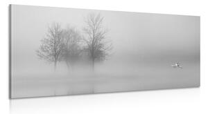 Obraz stromy v mlze v černobílém provedení