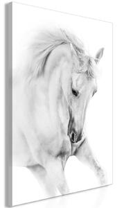 Obraz - Bílý kůň 40x60
