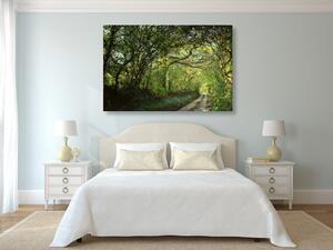 Obraz pohádkový les Varianta: 150x50