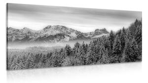 Obraz zamrzlé hory v černobílém provedení