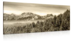 Obraz zamrzlé hory v sépiovém provedení