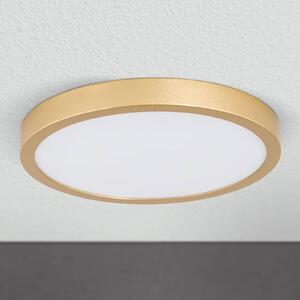 LED stropní světlo Vika, kulaté, zlatá mat, Ø 23cm