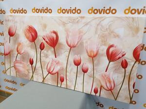 Obraz starorůžové tulipány - 100x50