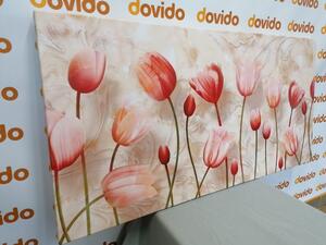Obraz starorůžové tulipány - 100x50