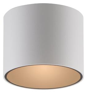 Stropní Lampa PURE, Point, stmívatelné, Bílá, Koupelna, Kov, Moderní