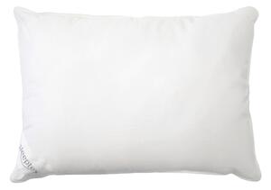 POLŠTÁŘ POD HLAVU, 40/60 cm Sleeptex - Polštáře pod hlavu