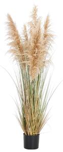 DEKORAČNÍ TRÁVA, 150 cm Ambia Home - Dekorační tráva, Online Only